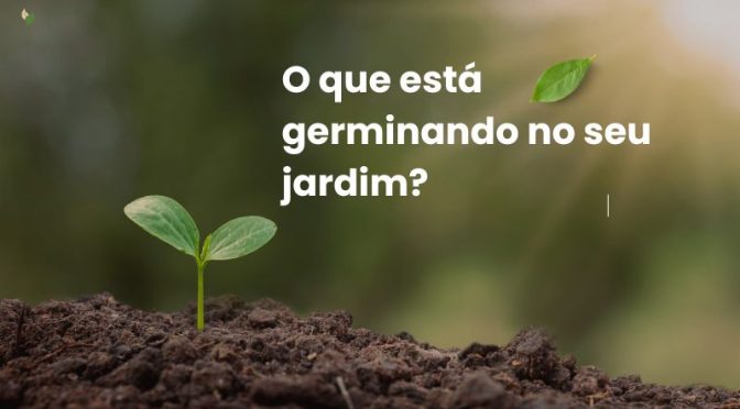 O que está germinando no seu jardim?