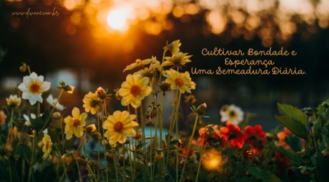 Cultivar Bondade e Esperança, Uma Semeadura Diária